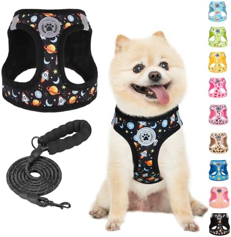 BEAUTYZOO Small Dog Harness and Leash Set,No Pull Puppy Pet Vest-Planet, XS by BEAUTYZOO