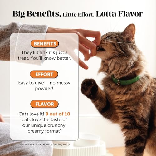 Pet Honesty Vet Backed Senior Cat Joint Supplement, Chicken, 300ct Chews - Image 4