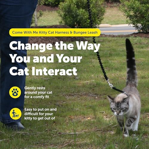 PetSafe Come With Me Kitty Harness and Bungee Cat Leash, Medium, LILAC/BRIGHT PURPLE, Model:CWMK-M-LLC - Image 3