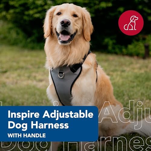 Coastal Pet Inspire Enhanced Core Dog Harness, Green, 5/8" x 16" 24" - Image 2