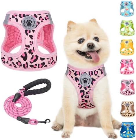BEAUTYZOO Step in Dog Harness and Leash Set,Reflective Dog Harness No Pull No Choke Puppy Harness for Small Medium Large Dogs Cats,Soft Padded Mesh Vest Harnesses for Girl and Boy Pets, Leopard Pink S by BEAUTYZOO