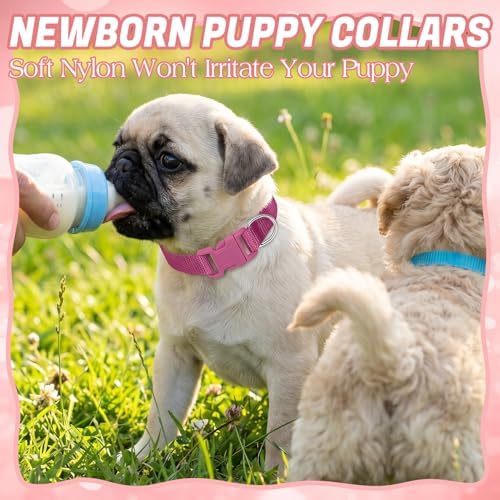 12 Pack Puppy Collars for Litter, Adjustable Puppy ID Collars - Image 5