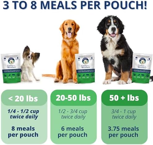 Under the Weather Easy to Digest Bland Diet for Sick Dogs | Contains Electrolytes | Gluten Free, All Natural, Freeze Dried 100% Human Grade Meats | 6 Pack - Hamburger, Rice & Sweet Potato - Image 3