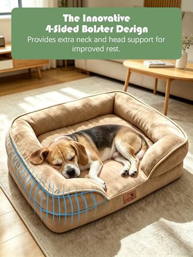 Spotted Play Orthopedic Dog Bed with Sides - Sofa Beds for Medium Dogs, Supportive Foam Pet Couch Bed with Washable Removable Cover, Waterproof Lining and Non-Slip Bottom, Brown - M - Image 5