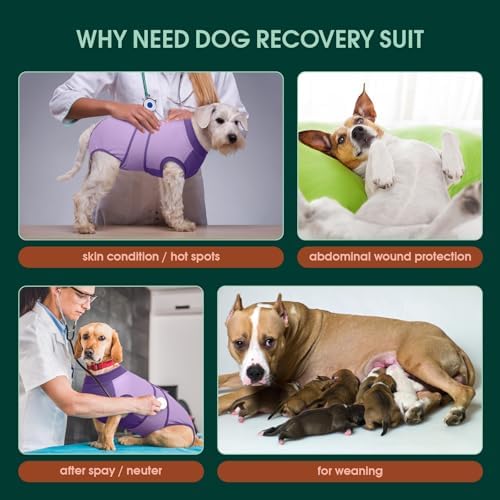 Kuoser Dog Recovery Suit, Female Male Spay Neuter Surgery Suit, Purple, XL - Image 2