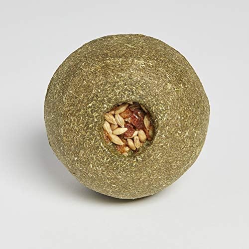 Kaytee Timothy Roll 'n' Toss Toy and Treat for Rabbits, Guinea Pigs - Image 3