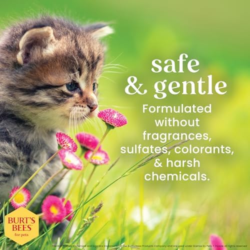 Burts Bees for Pets Kitten Grooming Wipes with Buttermilk, 50 Count, 6-Pack - Image 5