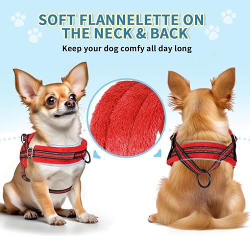 SlowTon No Pull Small Dog Harness and Leash Set with Front Clip - Image 2