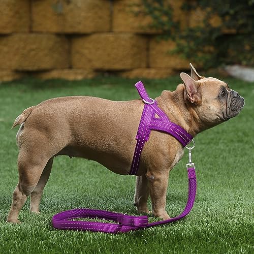 Plutus Pet No Pull Dog Harness with Front Clip, Breathable Mesh Padded - Image 5