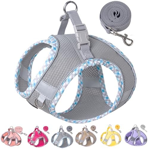 Petank Step in Dog Harness No Pull and Leash for Small Medium Dogs Cats. by PetankCareforEveryPaw