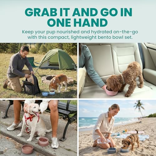 KindTail Dog Travel Bowls - Set of 2 Portable Pet Food & Water Dishes with Lid & Handle - Each Nesting Container Includes a Non-Slip Silicone Base - Microwave & Dishwasher Safe - BPA & Toxin-Free - Image 3