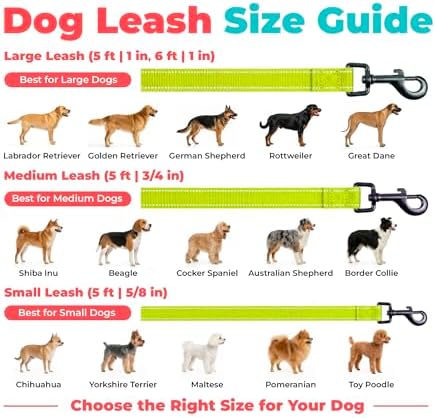 Best Pet Supplies Voyager Nylon Dog Leash - Lime Green, Large - Image 6