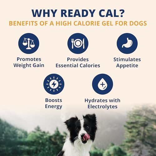 Under the Weather Pet Electrolytes Ready Cal Plus Gel for Dogs | Vet-Formulated High-Calorie Supplement for Dog & Puppy | Provides Essential Calories & Promotes Weight Gain | 3.5 Oz Tube Pack - Image 2