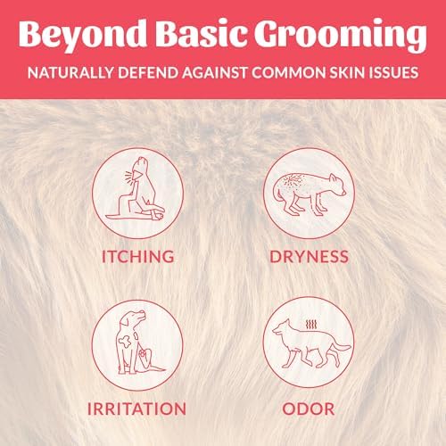 SKOUT'S HONOR Probiotic Dog Deodorizing Spray- SC, 8 oz, 2-Pack - Image 3
