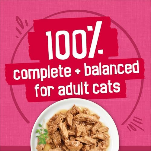 Purina Friskies Prime Filets Cat Food Variety Pack, 48 Ct Cans - Image 4