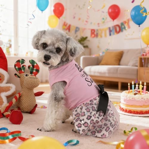 Little Miss Sassy Pants Dog Dress with Leopard Print Bowknot Dog Clothes for Small Medium Large Dogs Girls Boys Cats Outfit Apparel - Image 5