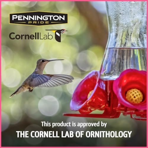 Pennington Electro-Nectar Hummingbird Nectar Ready to Use 64-Oz Bottle - Image 5