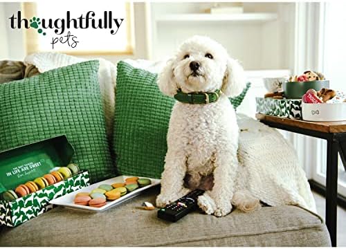 Halloween Dog Treat Gift Set, Decorated Bone-Shaped Treats, Set of 8 - Image 5