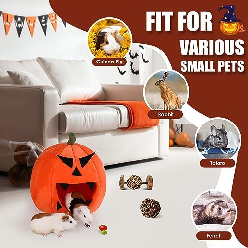 Guinea Pig Hideout - Guinea Pig Bed, Halloween Style Small Pet Hides, Ideal Bed for Small Pets, Pumpkin Shape, Orange - Image 5