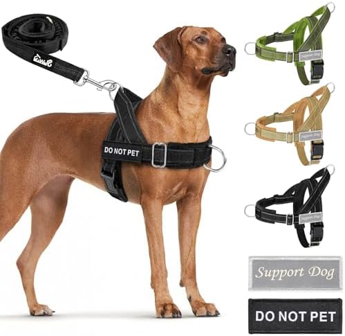 SlowTon No Pull Dog Harness and Leash Set - Heavy Duty, Soft Padded by SlowTon