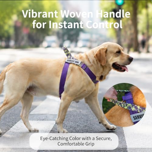 No Pull Dog Harness and Leash Set, Australian Dog Harness, Service Dog Harness with Handle and 4 Reflective Patches, Adjustable Training Vest for Small, Medium and Large Dogs (Purple,L) - Image 3