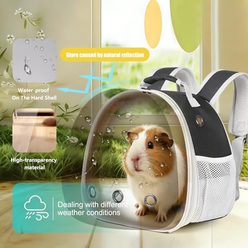 Portable Guinea Pig Backpack, Polarized Bubble Backpack for Small Animals Travel Handbag Cage for Kitten Rabbit Squirrel Bearded Dragon Turtle Breathable Carrier - Image 4
