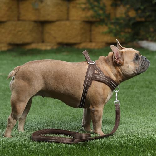 Plutus Pet No Pull Dog Harness with Front Clip, Breathable Mesh Padded - Image 5
