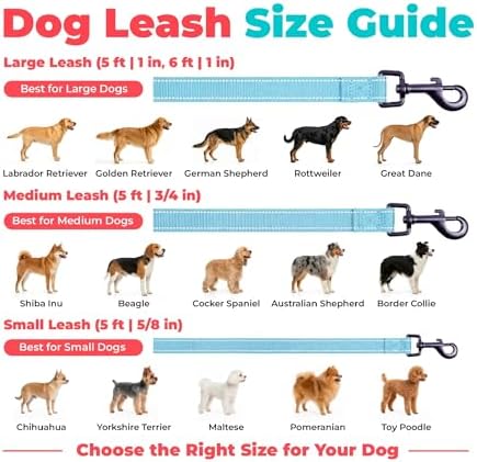 Best Pet Supplies Voyager Nylon Dog Leash - Baby Blue, Small - Image 6