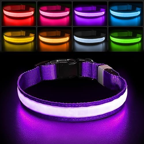 PcEoTllar Light up Dog Collar, for Night Walking, Adjustable, Purple, S by PcEoTllarPetSupplies