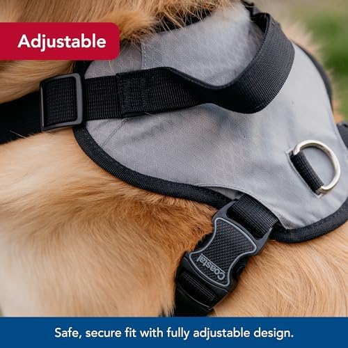 Coastal Pet Inspire Enhanced Core Dog Harness, Green, 5/8" x 16" 24" - Image 3