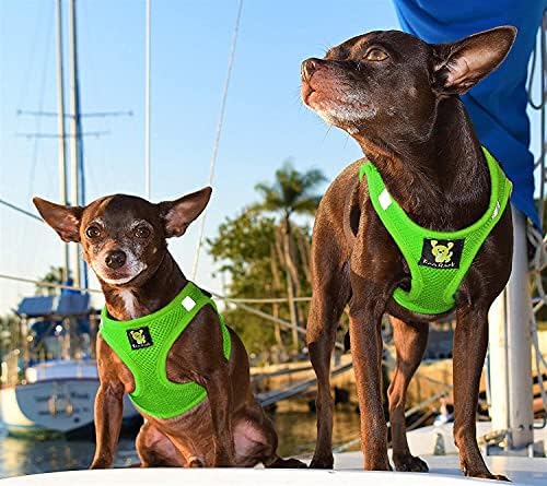 EcoBark Premium Dog Harness - Luxury Soft Dog Harnesses for Puppies & Dogs - Step in Vest Body Halter Under 19 lbs (Green) - Image 4