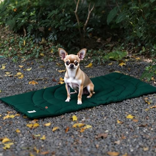 Lightly Padded Roll-Up Travel Dog Mat Settle & Place Training - Image 5
