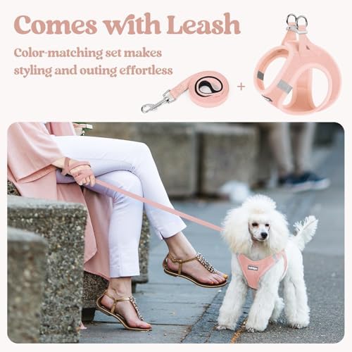 rabbitgoo Dog Harness Medium Sized and Leash Set, Step-in Puppy Pet Vest - Image 5