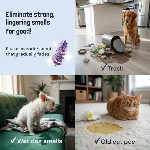 Sunny & Honey Carpet Cleaner Spray, Enzyme Pet Stain Remover, 1Gal Lavender - Image 4