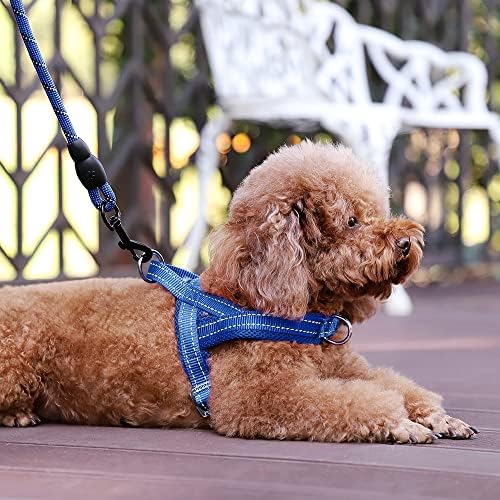 Plutus Pet No Pull Dog Harness with Front Clip, Breathable Mesh Padded - Image 5