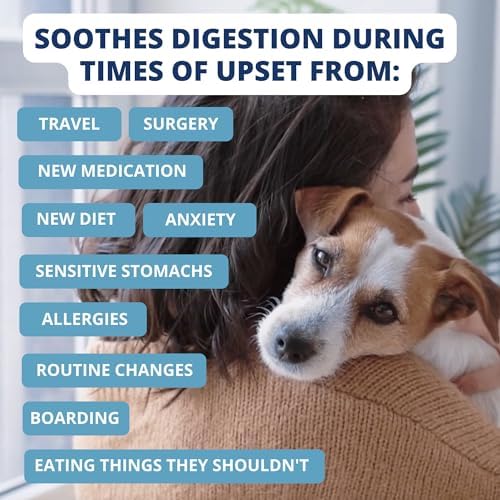 Under the Weather Easy to Digest Bland Diet for Sick Dogs - Always Be Ready - Contains Electrolytes - Gluten Free, All Natural, Freeze Dried 100% Human Grade Meats - 6 Pack Chicken, Rice & Bone Broth - Image 5