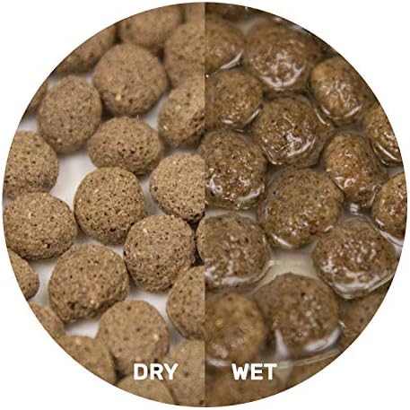 Hikari® Herptile Dragon Delite™ Probiotic-Enhanced Hydrating Pellets for Vegetable and Insect-Eating Lizards, 7 oz (200g) - Image 4
