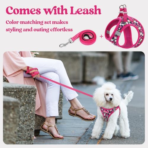 rabbitgoo Dog Harness Small Sized and Leash Set, Step-in Puppy Pet Vest - Image 6