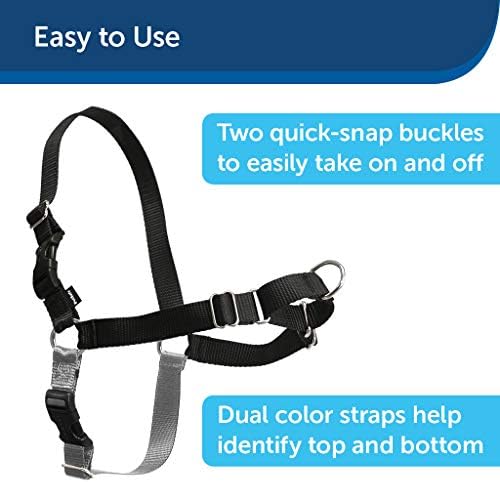 PetSafe Easy Walk No-Pull Dog Harness - Ultimate Harness to Help Stop Pulling - Pull-Free Walks - Take Control & Teach Better Leash Manners - Patented Martingale Loop Design - Raspberry, X-Large - Image 5