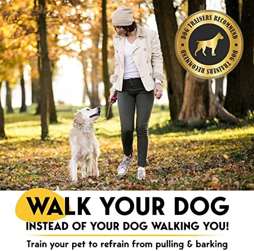 PetJett Prong Collar for Dogs - Choke Collar for Dogs, Pinch Collar for Dog, Adjustable Training Collar & Walking Tool for Small, Medium, or Large Breed - No Pull Stainless Steel Metal Choker Chain - Image 2
