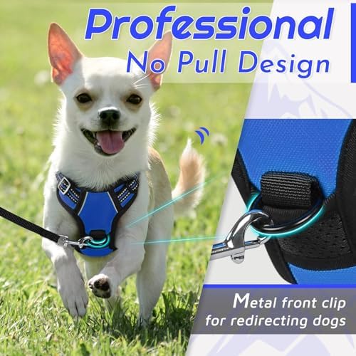 Eagloo Dog Harness for Small Dogs, No Pull Pet Vest with 2 Leash Clips - Image 2