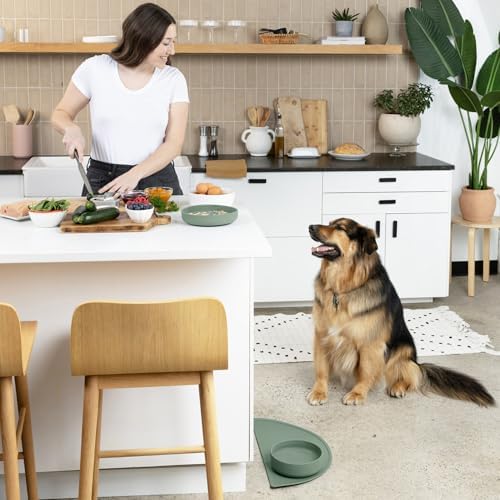 The Perfect Dish - Silicone Dog Bowl for Food & Water, 7.5"x2.25"-Spruce - Image 4