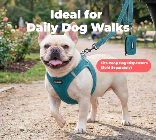 Best Pet Supplies Voyager Nylon Dog Leash - Turquoise, Medium - Image 3