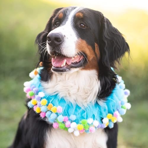 Elegant little tail 1PC Dog Birthday Costume - Blue Dog Cat Cute Colorful Fluffy Ball Dog with Birthday Patterns Boy Pet Tutu Collar Suit Pet Holiday Costume for Cats Small Medium Dogs - Image 4