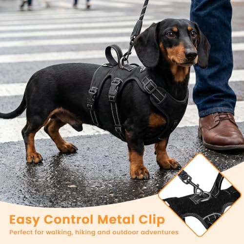 Escape Proof Dog Harness and Leash Set,Soft Padded Full Body Pet Harness, No Pull Reflective Adjustable Dog Vest with Handle, Easy Control Dog Harness for Medium Large Dogs Training Walking Running - Image 4