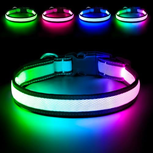 Flashseen LED Dog Collar, Light Up Dog Collar USB Rechargeable (White, Small) by Flashseen