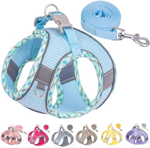Petank Step in Dog Harness No Pull and Leash for Small Medium Dogs Cats. by PetankCareforEveryPaw