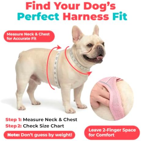 Voyager Step-in Air Dog Vest Harness - Royal Blue/Black Trim, X-Large - Image 6