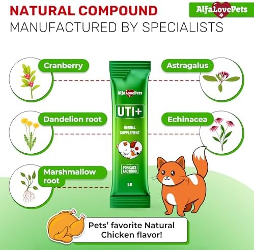 Cat UTI Treatment for Frequent Urination, Bladder & Kidney Irritation – Squeezable Dog UTI Treatment for Natural Care – Creamy UTI+ Cranberry Supplement for Dogs with Chicken Flavor – 10 Sticks x 5 g - Image 3