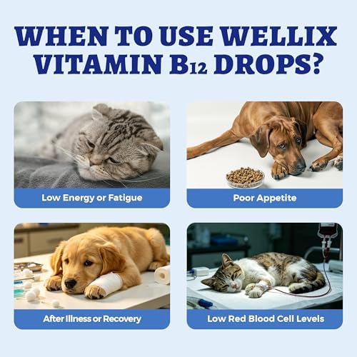 Wellix 4.06 fl oz Vitamin B12 Liquid with Taurine for Dogs and Cats - Image 4